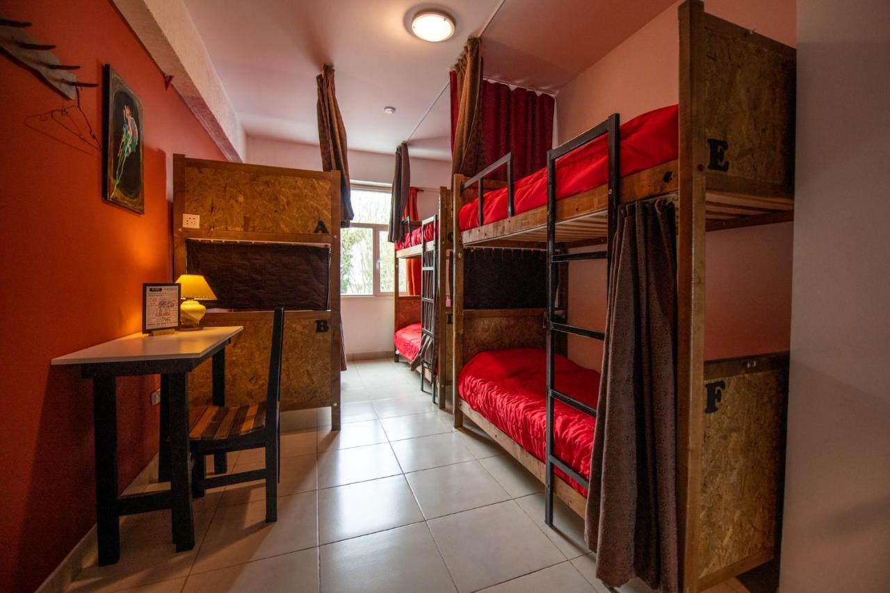 Bed in 6-Bed Female Dormitory Room,934091308:JPEG